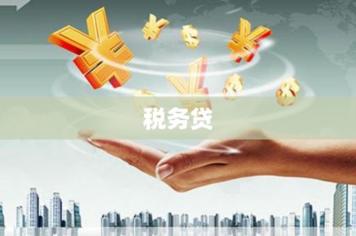 临朐税务贷