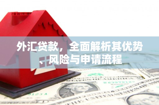 临朐外汇贷款，全面解析其优势、风险与申请流程