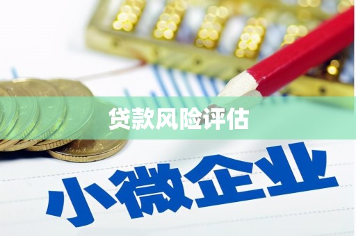 临朐贷款风险评估