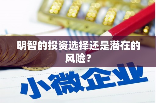 临朐明智的投资选择还是潜在的风险？