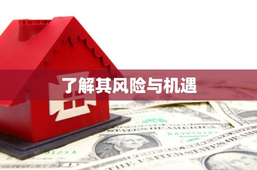 临朐了解其风险与机遇