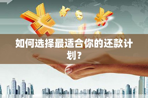 临朐如何选择最适合你的还款计划？