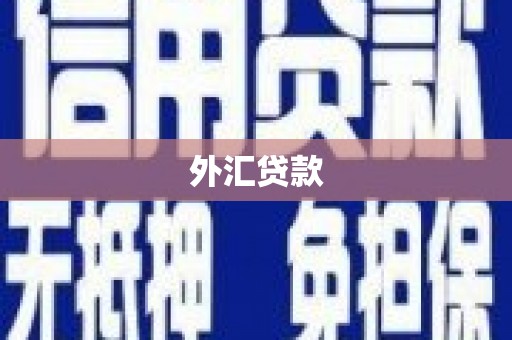 临朐外汇贷款