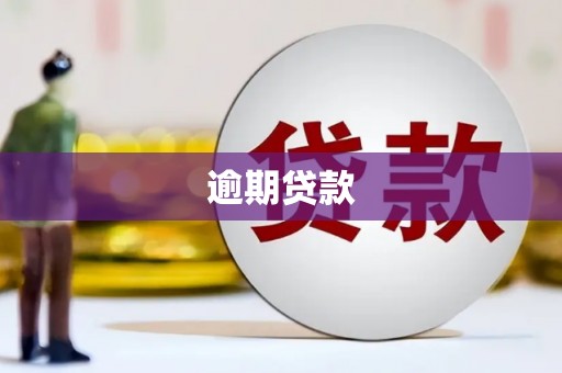 临朐逾期贷款