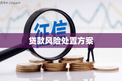 临朐贷款风险处置方案