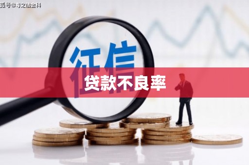 临朐贷款不良率