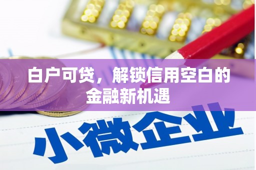 临朐白户可贷，解锁信用空白的金融新机遇
