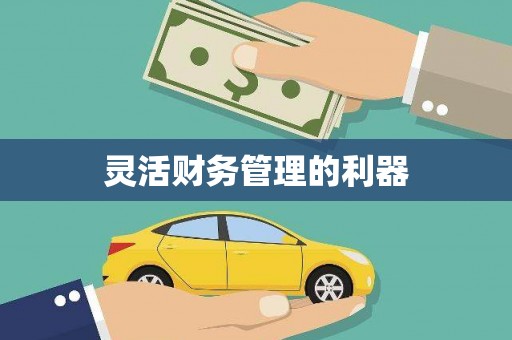 临朐灵活财务管理的利器