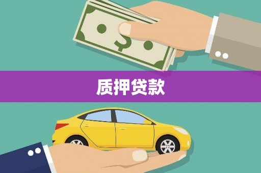 临朐质押贷款