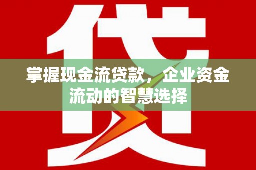 临朐掌握现金流贷款，企业资金流动的智慧选择