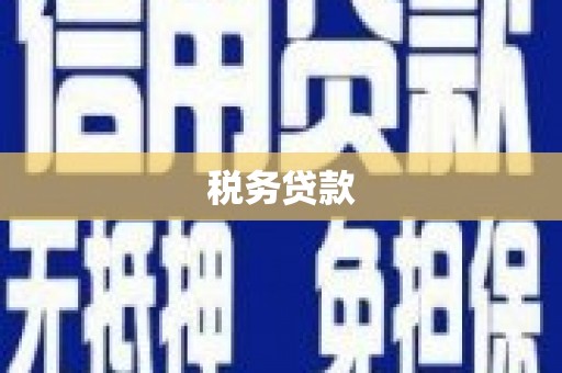 临朐税务贷款