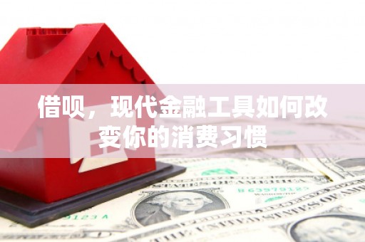 临朐借呗，现代金融工具如何改变你的消费习惯