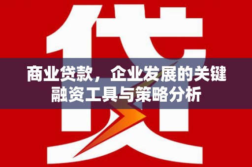 临朐商业贷款，企业发展的关键融资工具与策略分析