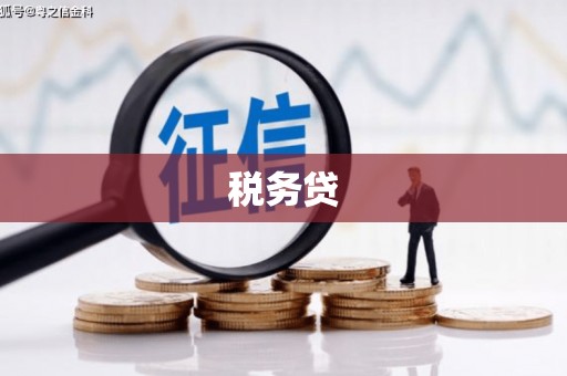 临朐税务贷