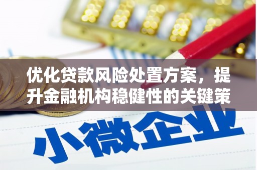 临朐优化贷款风险处置方案，提升金融机构稳健性的关键策略