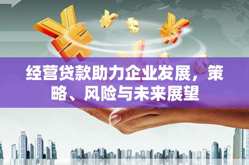 临朐经营贷款助力企业发展，策略、风险与未来展望