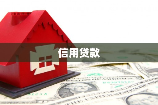 临朐信用贷款
