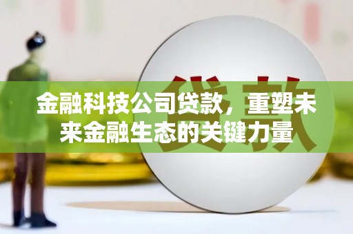 临朐金融科技公司贷款，重塑未来金融生态的关键力量