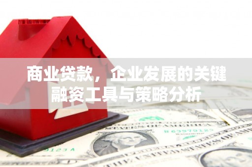 临朐商业贷款，企业发展的关键融资工具与策略分析