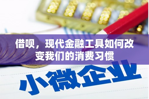 临朐借呗，现代金融工具如何改变我们的消费习惯