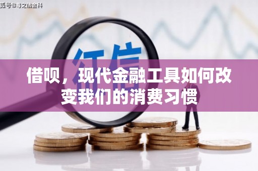 临朐借呗，现代金融工具如何改变我们的消费习惯