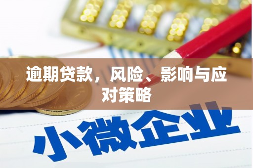 临朐逾期贷款，风险、影响与应对策略