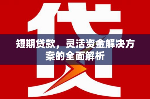 临朐短期贷款，灵活资金解决方案的全面解析