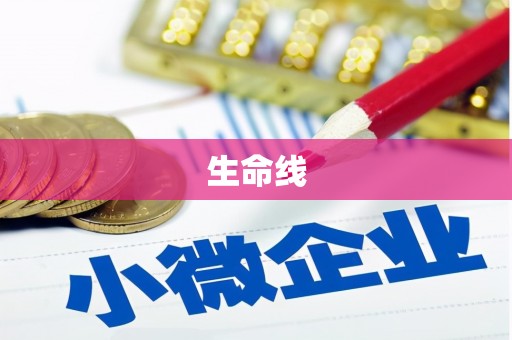 临朐生命线