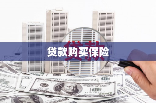 临朐贷款购买保险