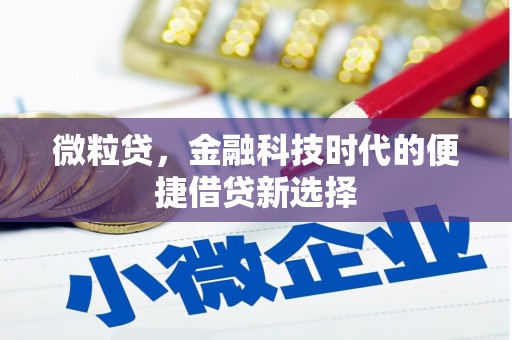 临朐微粒贷，金融科技时代的便捷借贷新选择