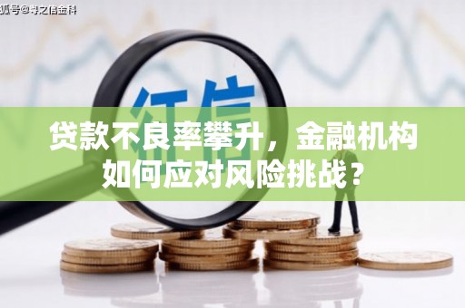 临朐贷款不良率攀升，金融机构如何应对风险挑战？