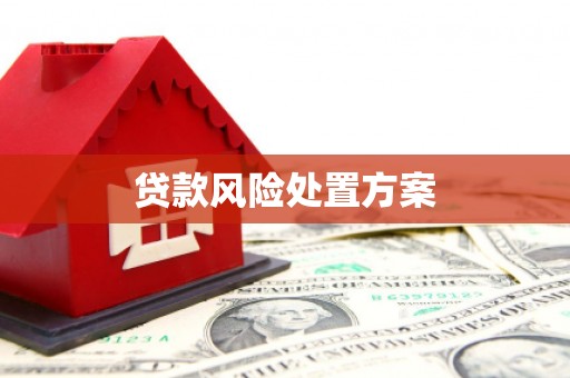 临朐贷款风险处置方案