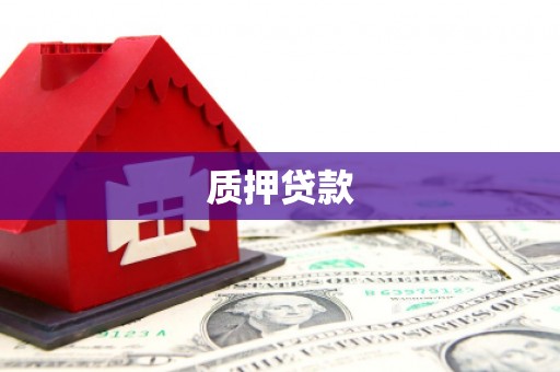 临朐质押贷款